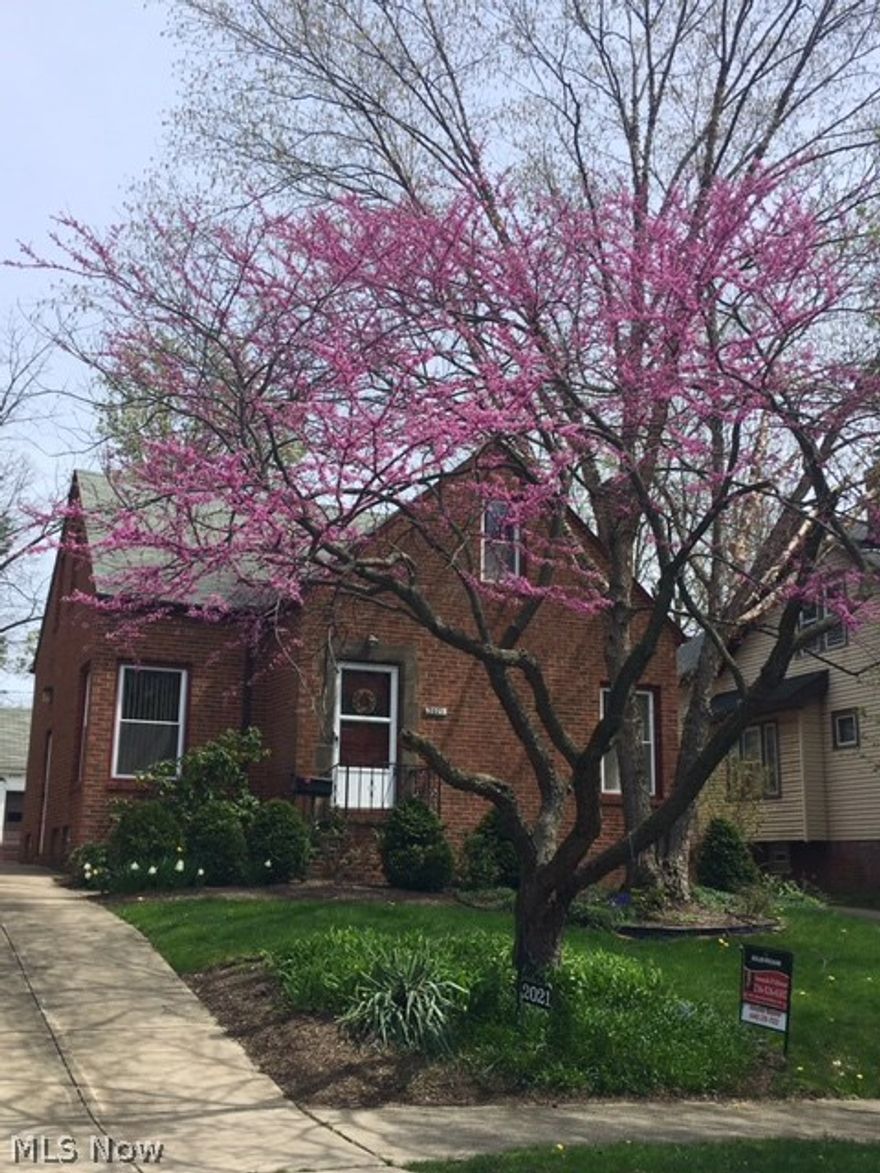 Beautiful brick Cleveland Heights home! Spacious versatile floor plan with 2 bedrooms and full bathroom on the main floor plus second floor full bathroom and bedroom. Updates include, newer windows throughout, cement driveway, newer hot water tank & furnace, glass block windows in basement, re-painted in 2016 plus there's central air conditioning. The photos of the yard don't do it justice, this yard has exquisite plantings plus a fish pond! Great location close by to everything - shopping, restaurants & minutes to downtown, uptown & everything that makes Cleveland rock!