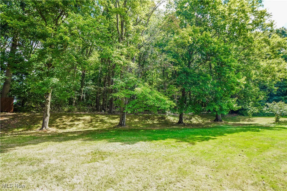 Tomsik Park Hills Allotment - Residential