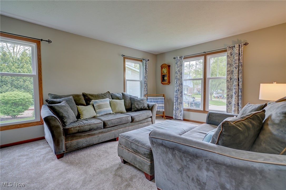 5363 Park Drive, Medina, Ohio image 4
