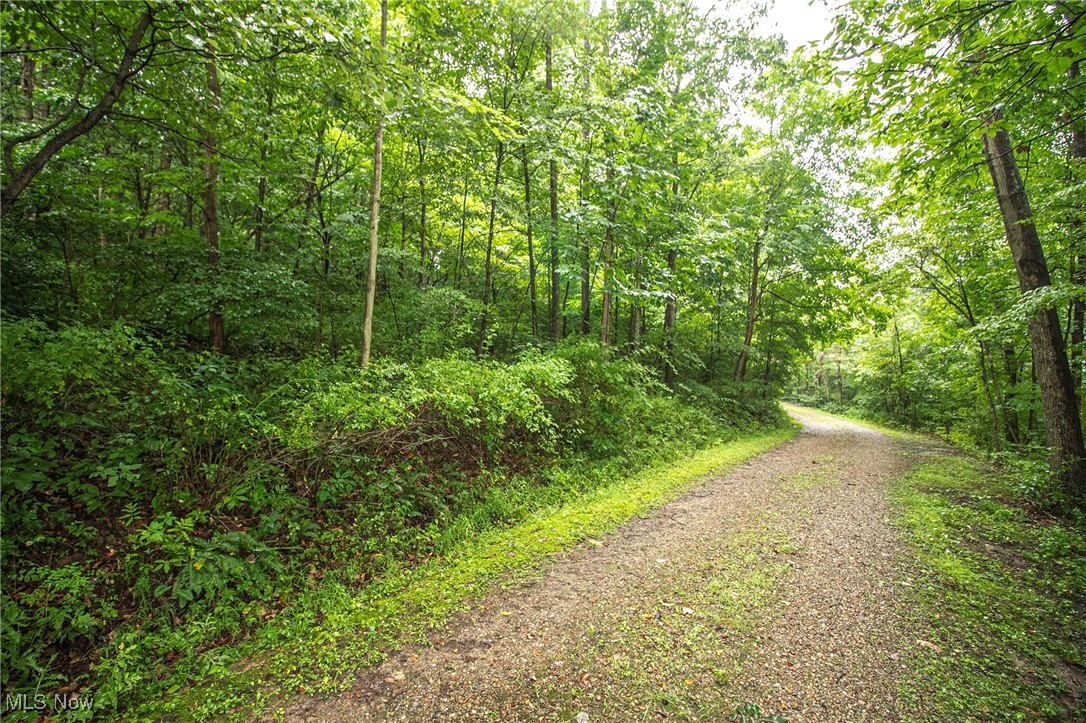 Lot 4 Meadowood Trail, Cadiz, Ohio image 3