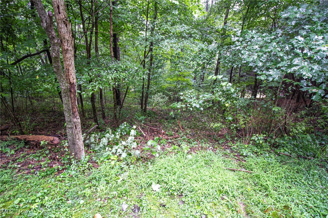 Lot 4 Meadowood Trail, Cadiz, Ohio image 2