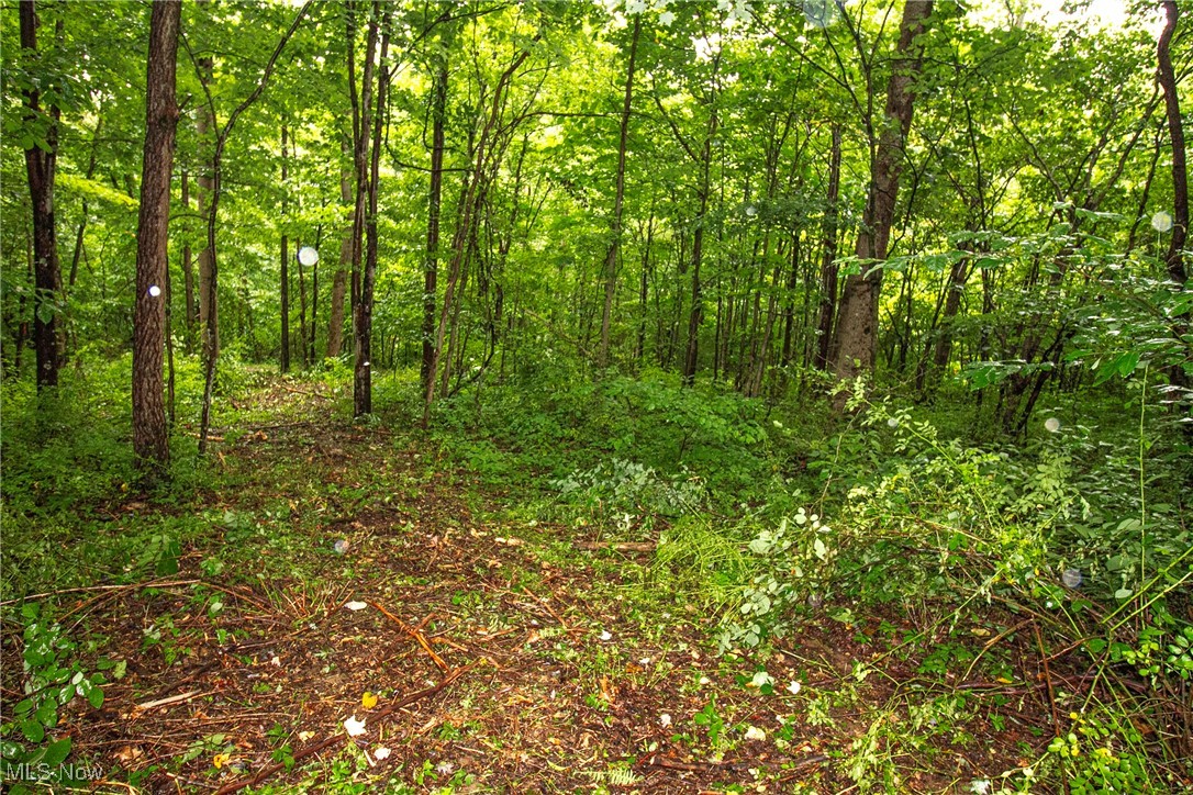 Lot 4 Meadowood Trail, Cadiz, Ohio image 4