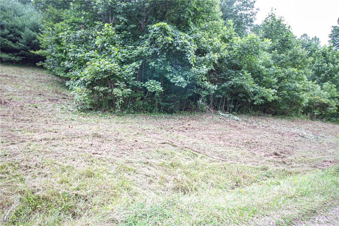 Lot 4 Meadowood Trail, Cadiz, Ohio image 1