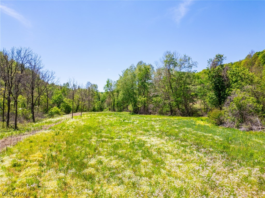 37500 Goose Run Road