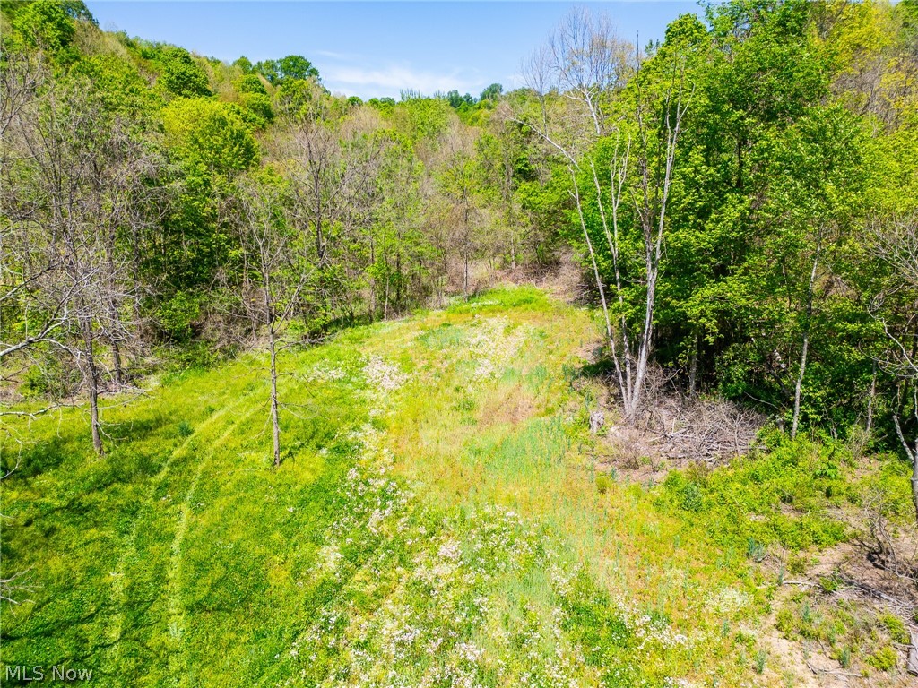 37500 Goose Run Road
