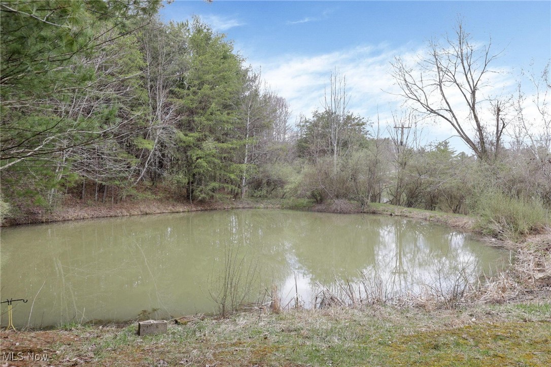 40455 Cone Road, Albany, Ohio image 46