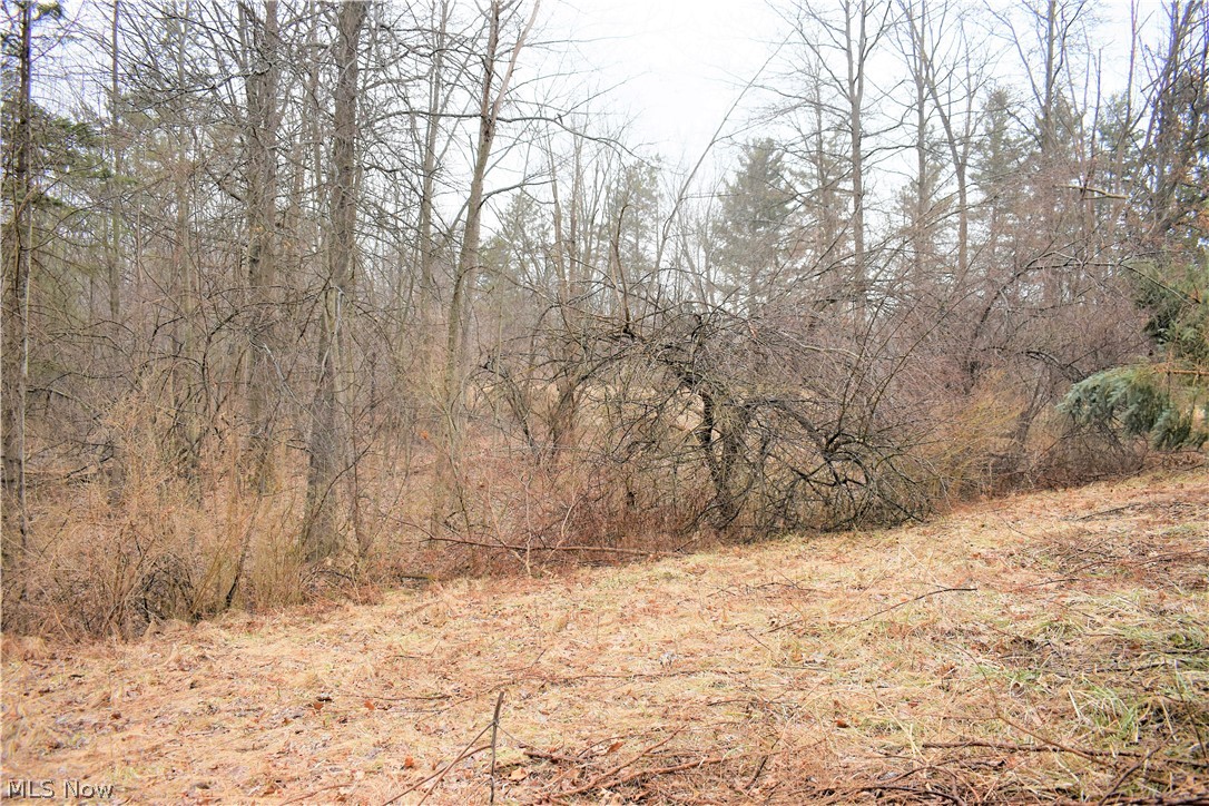 Mike & Katherine A Suglia - Land