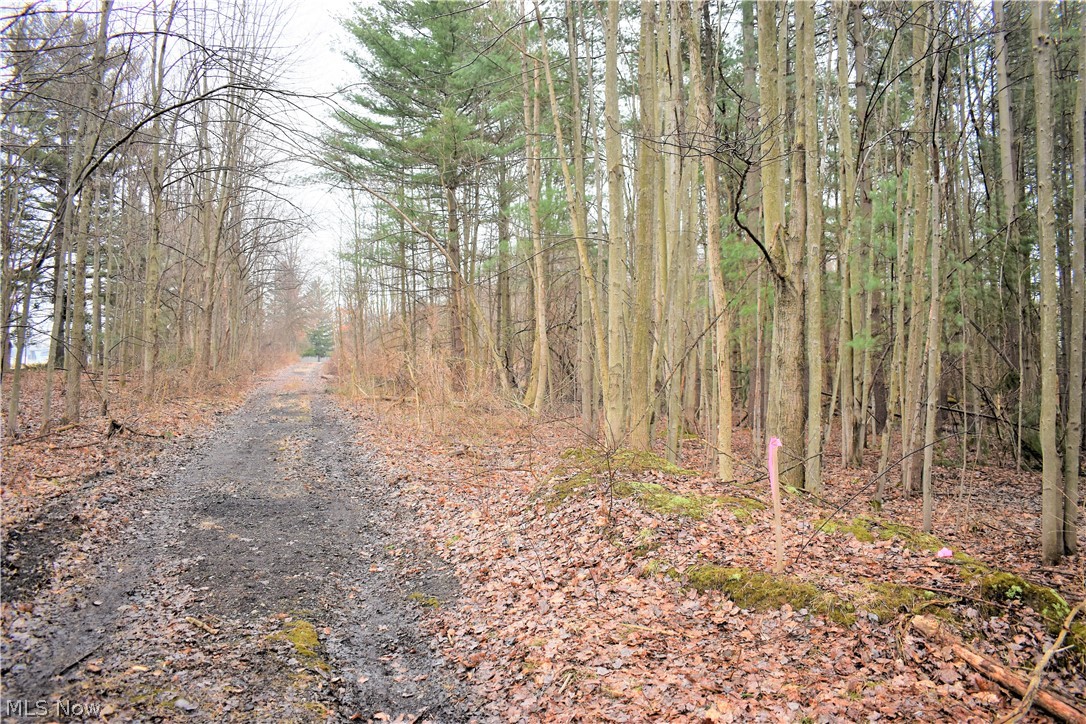 Mike & Katherine A Suglia - Land