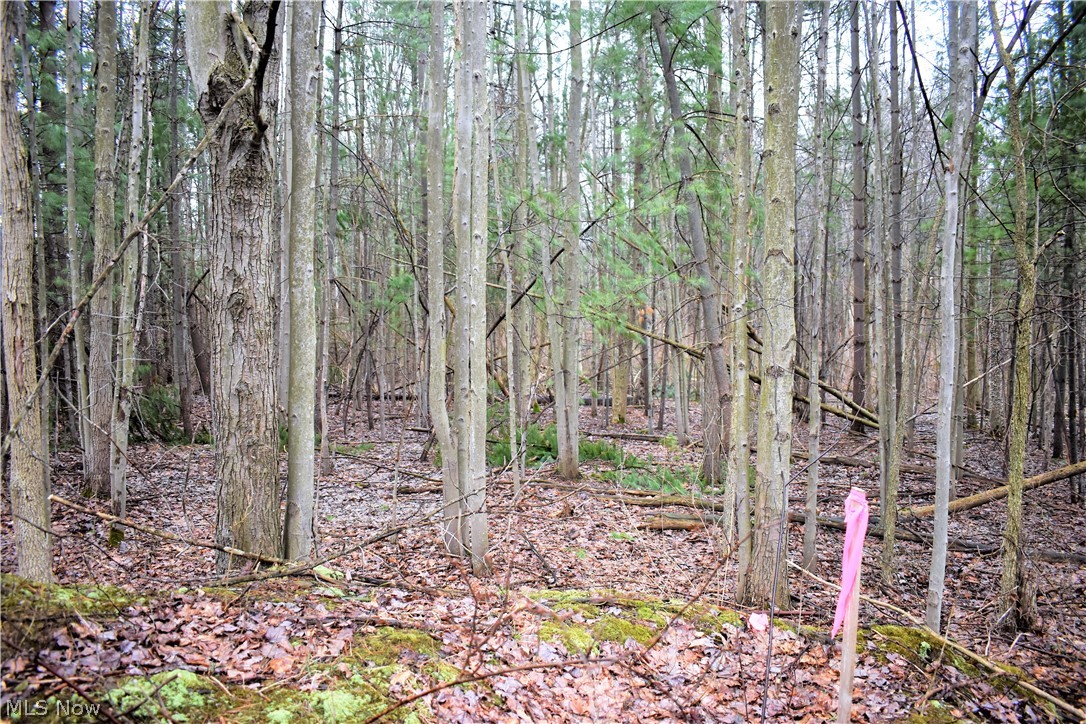 Mike & Katherine A Suglia - Land