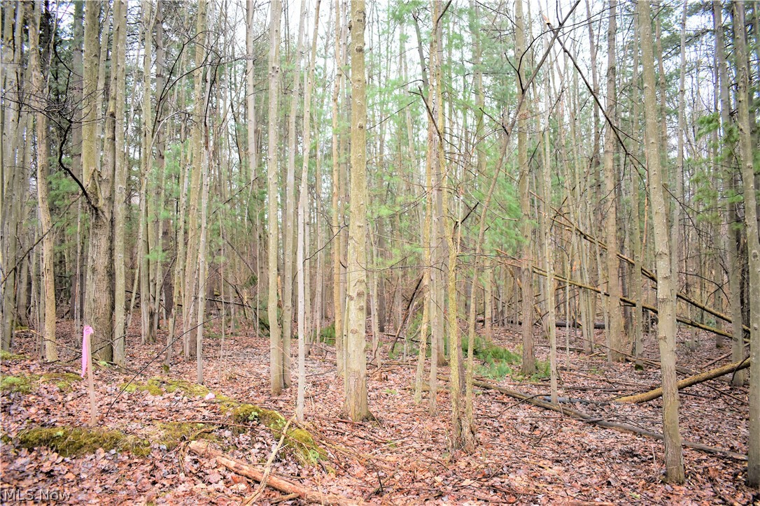 Mike & Katherine A Suglia - Land