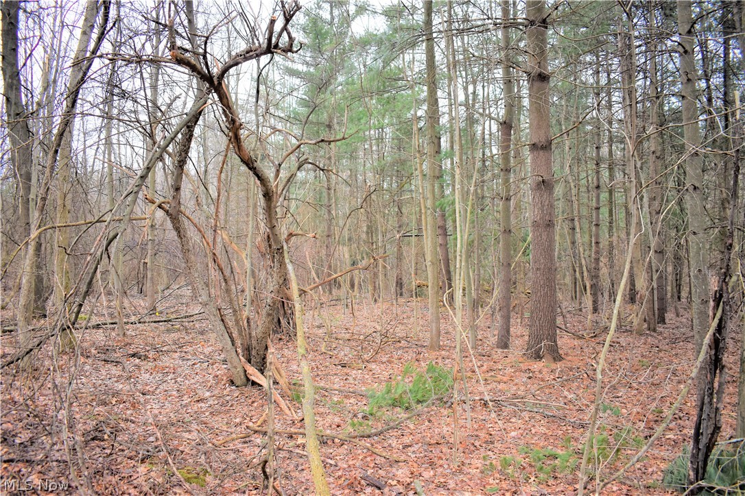 Mike & Katherine A Suglia - Land