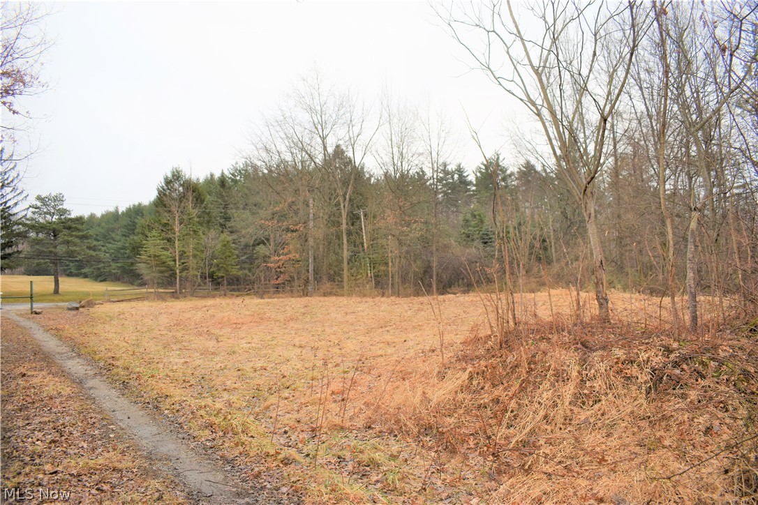 Mike & Katherine A Suglia - Land