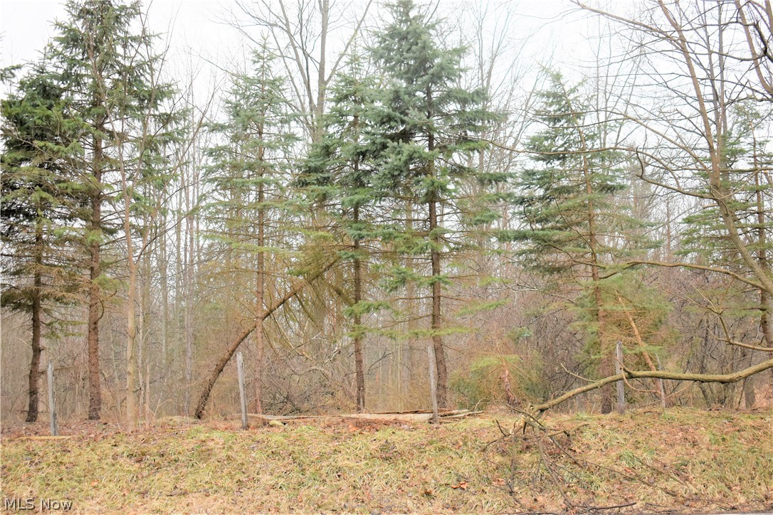 Mike & Katherine A Suglia - Land