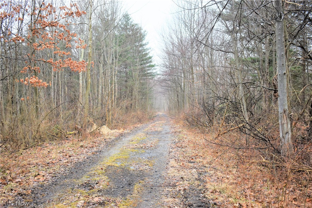 Mike & Katherine A Suglia - Land