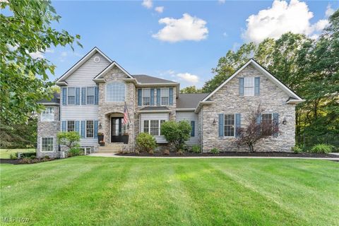 60 Taylor James Boulevard, Wadsworth, OH 44281 - #: 5135408