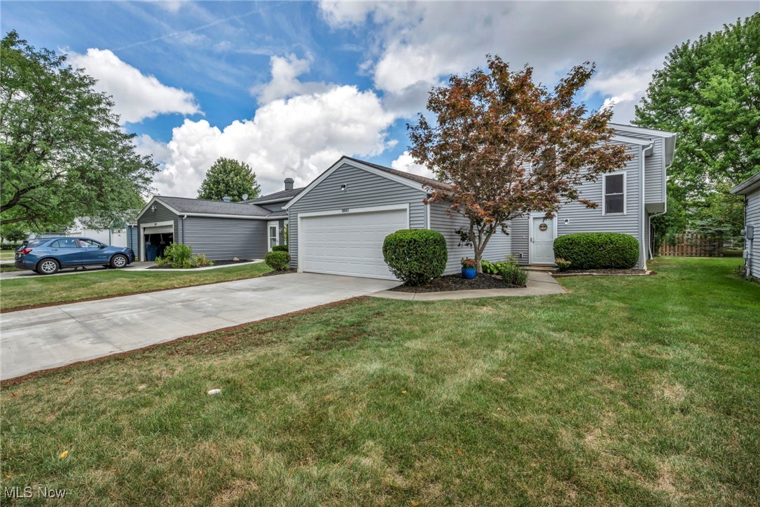 Raintree Condo 01 - Residential