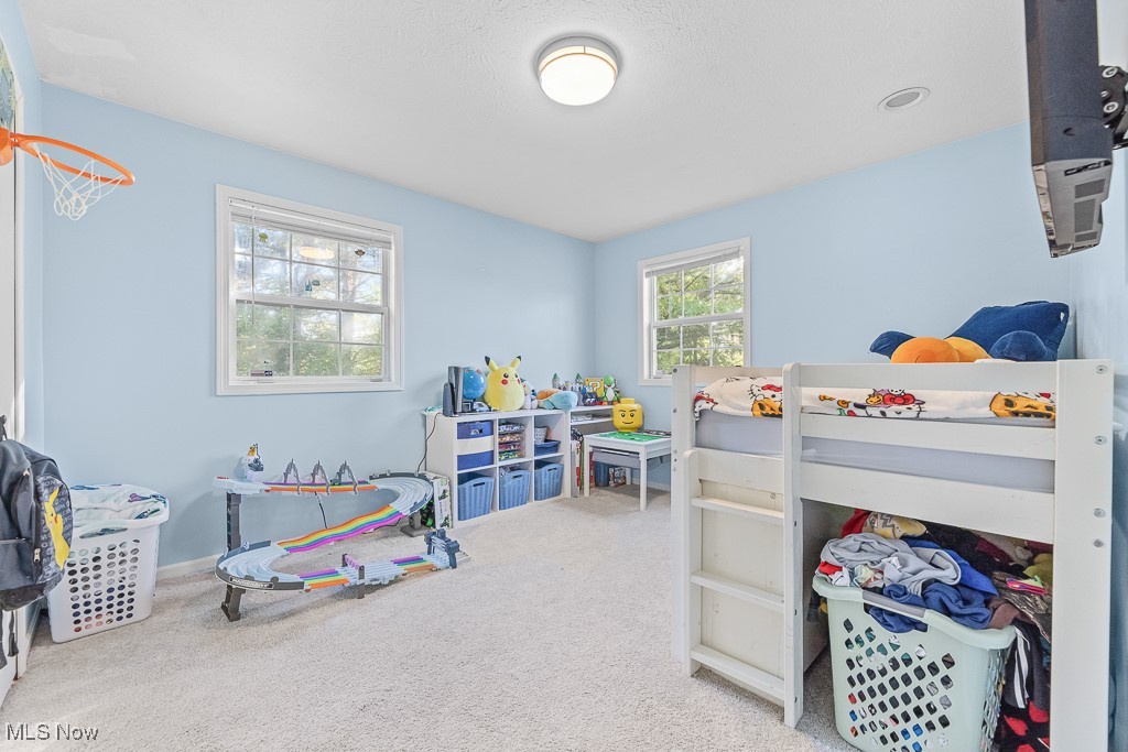 7319 Guilford Road, Seville, Ohio image 20