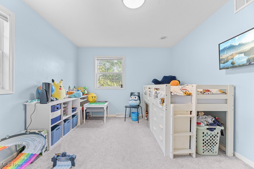 7319 Guilford Road, Seville, Ohio image 21