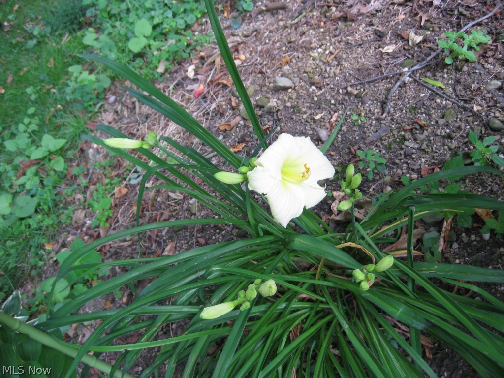 H & M KENT 3 LOT 26 F 90.7 - Residential