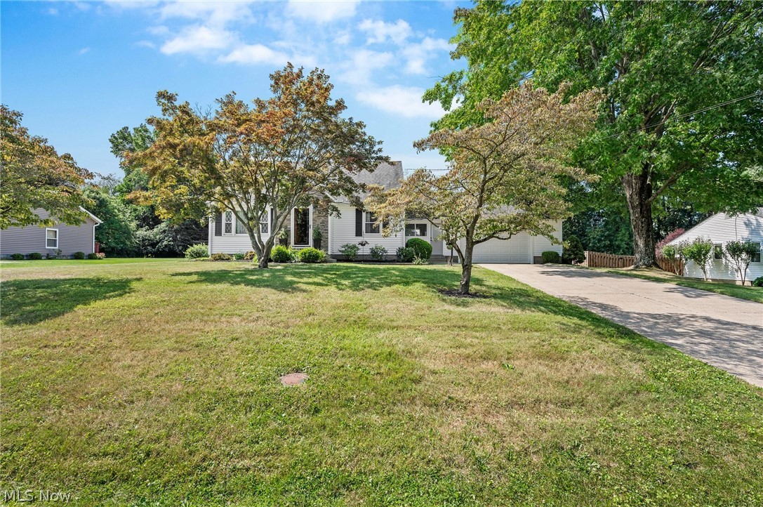 Nutwood Heights - Residential