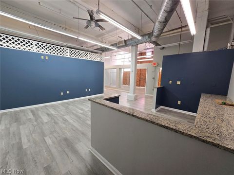 Tiny photo for 1667 E 40th Street, Cleveland, OH 44103 (MLS # 5203371)