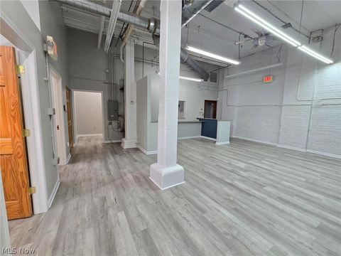 Tiny photo for 1667 E 40th Street, Cleveland, OH 44103 (MLS # 5203371)