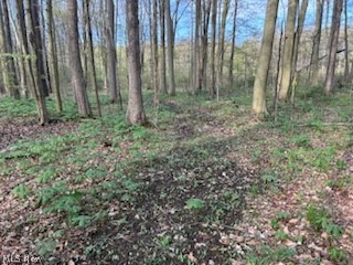 Connecticut Western Reserve - Land