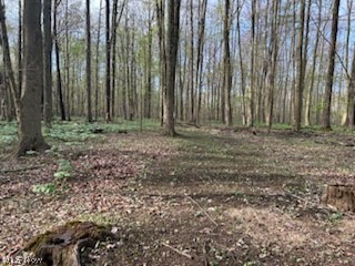 Connecticut Western Reserve - Land