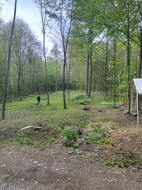 Connecticut Western Reserve - Land