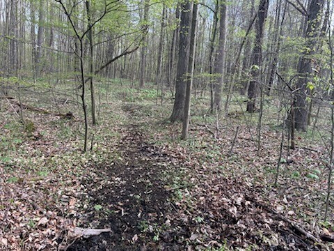 Connecticut Western Reserve - Land