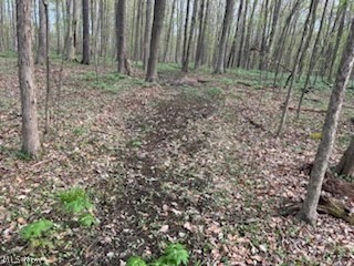 Connecticut Western Reserve - Land