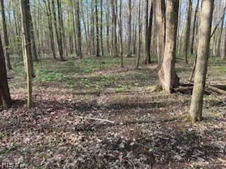 Connecticut Western Reserve - Land