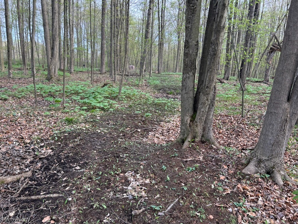 Connecticut Western Reserve - Land