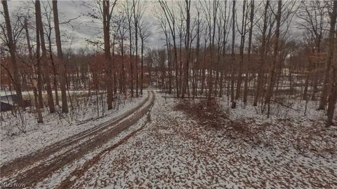 Tiny photo for 48276 Dyke Road, Negley, OH 44441 (MLS # 5186491)