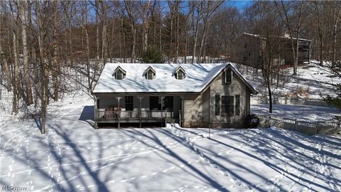 Photo of 48276 Dyke Road, Negley, OH 44441 (MLS # 5186491)