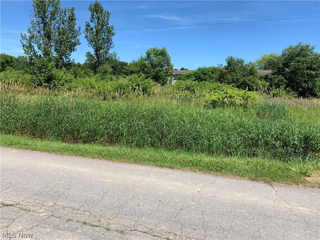 Kinsman Township Sec 02 - Residential