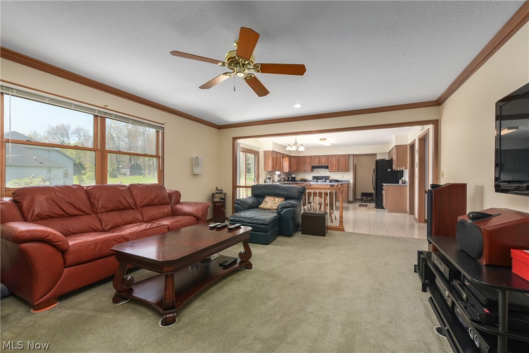 Eagles Nest - Residential