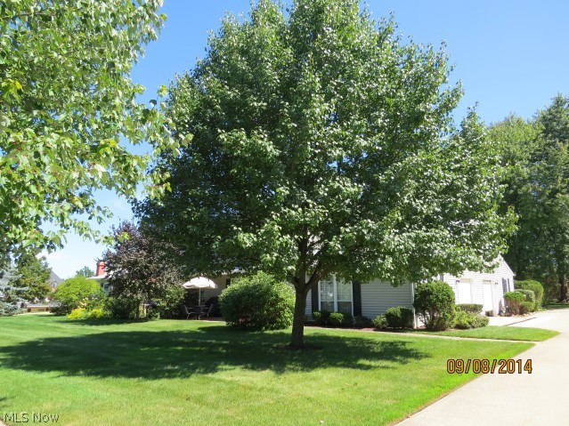 Independence Place Condo - Residential