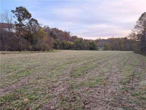 Photo of 39555 Marietta Road, Caldwell, OH 43724 (MLS # 5256161)