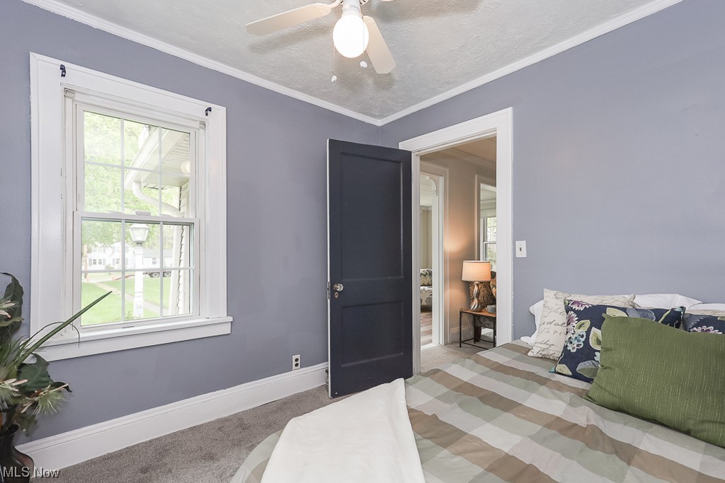 Green Road Allotment/J Laronge - Residential