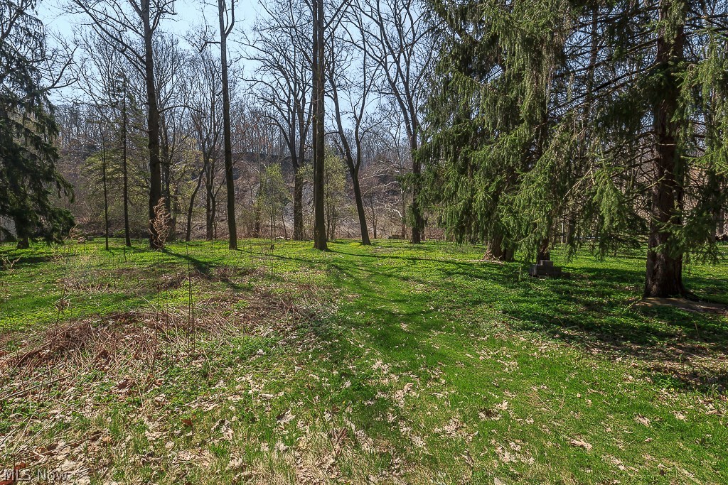 Dodds Pleasant Valley Estates - Land