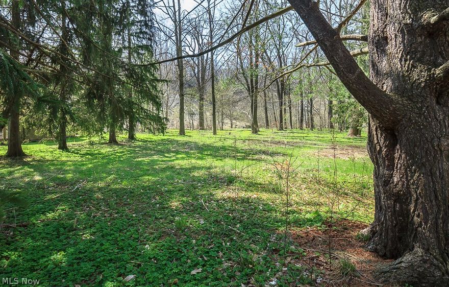 Almost one acre on private street in Willoughby overlooking the Chagrin River.  Lovely site for a new construction.  Lot available next door for purchase as well.  Great school district. Easy access to freeway and downtown.
