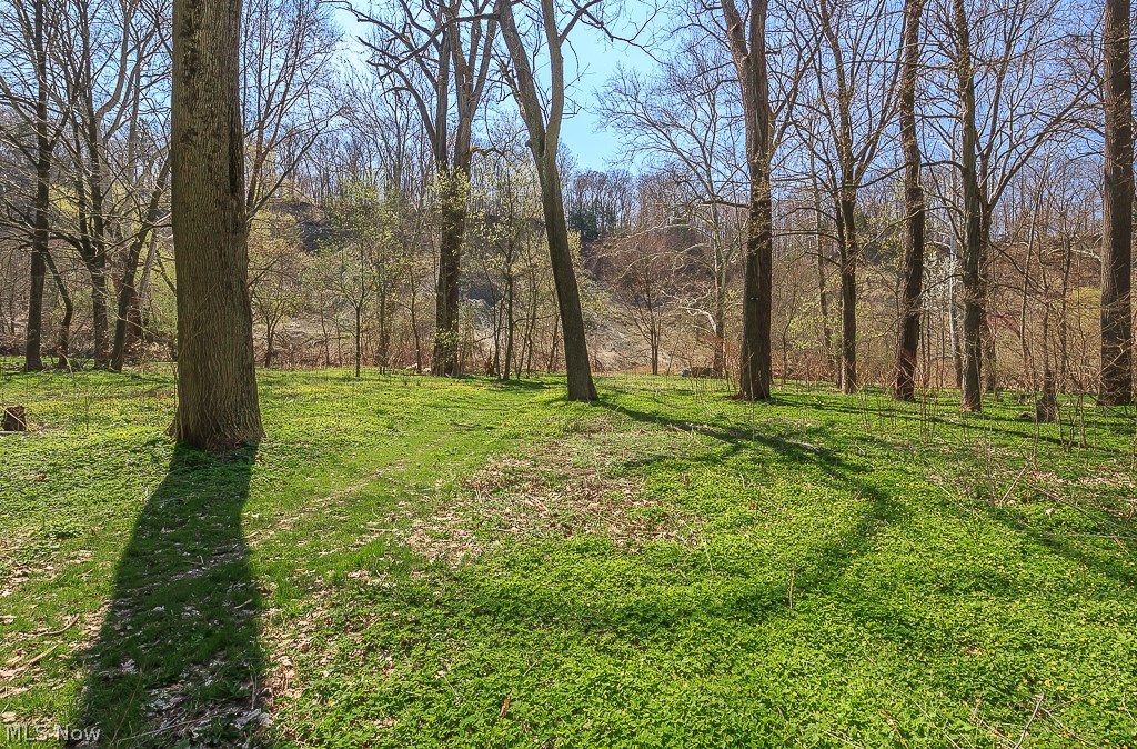 Dodds Pleasant Valley Estates - Land