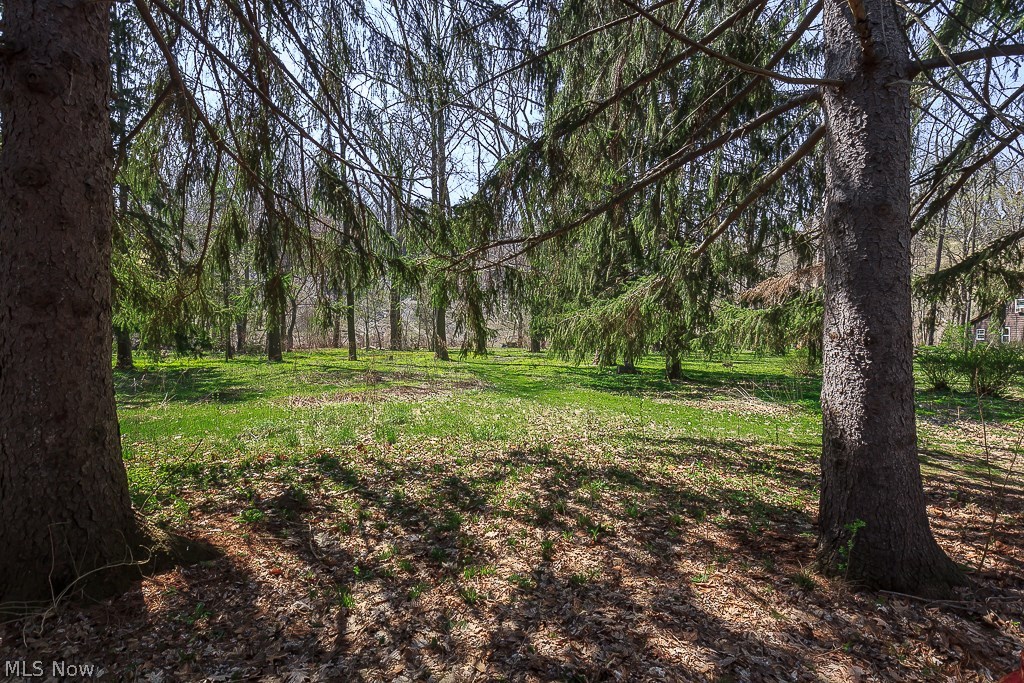 Dodds Pleasant Valley Estates - Land