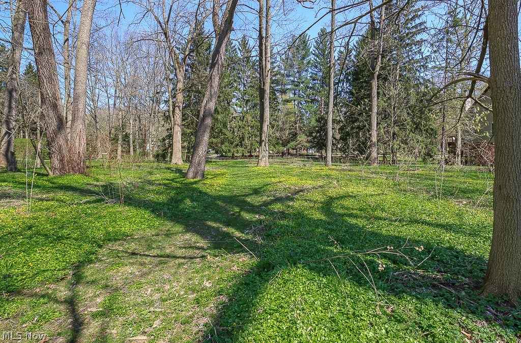 Dodds Pleasant Valley Estates - Land