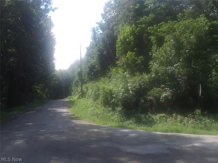 Great hunting location! Good place to put a cabin or a full time home. Close to AEP hunting area. If you are looking for ground it doesn't get much better than this.