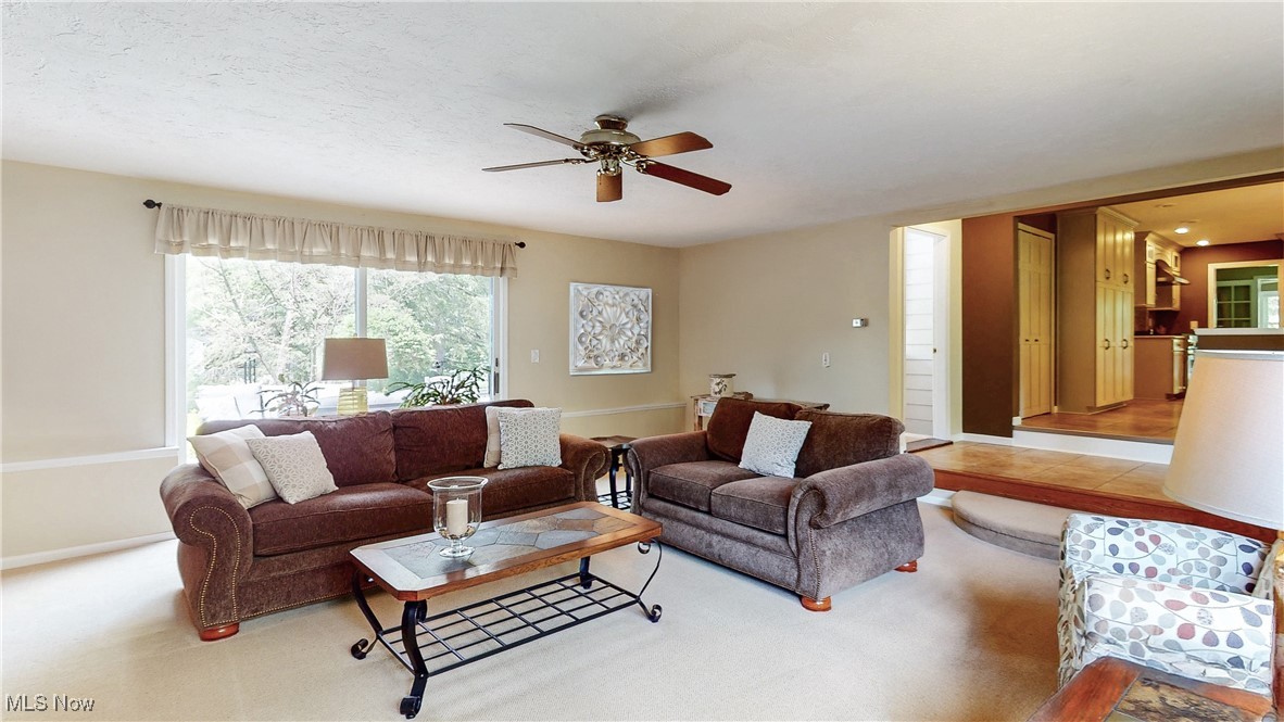 7700 Clarion Drive, Chagrin Falls, Ohio image 6
