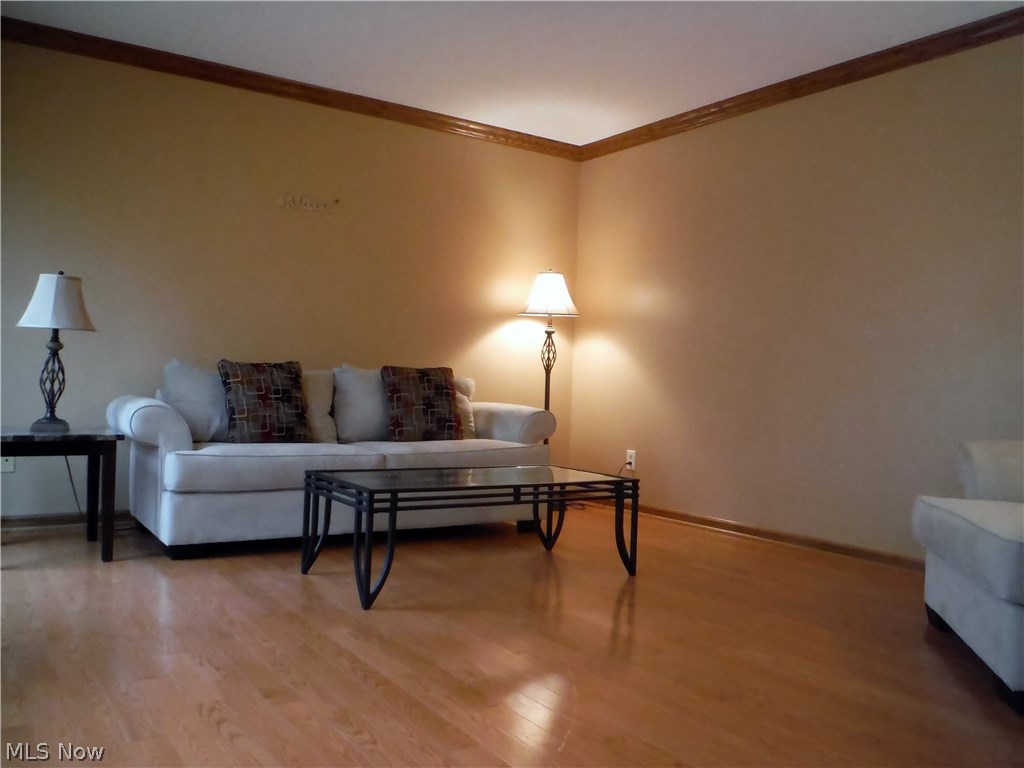 Wood Moor Allotment 07 - Residential