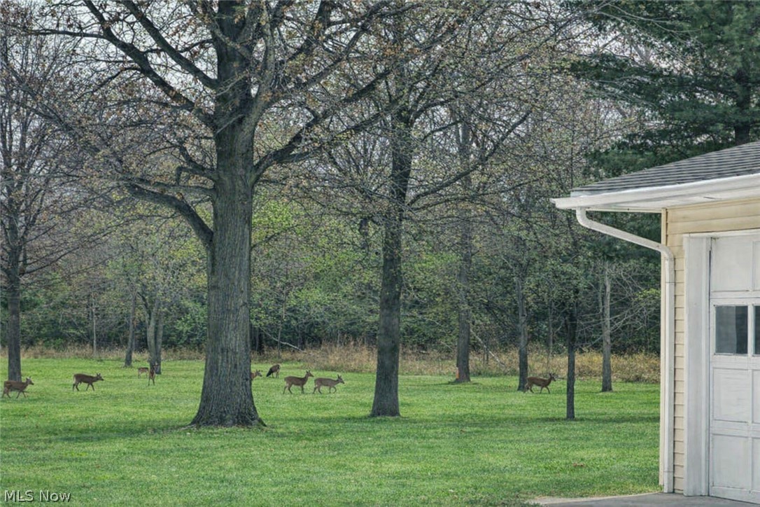 Catawba Island - Residential