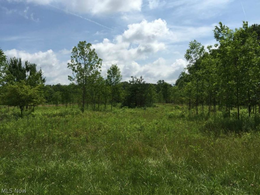 7.98 acres in Valley City Columbia Rd near Neff Rd. 200 foot frontage 1680 feet deep, open and level in front half with a gentle slope towards rear of property, mature forest in rear and along south side of property with stream running across the rear of the property. City water and sewer at the road.
5 acres cleared, 3 acres wooded with a stream. East side of Columbia Rd North of Neff Rd.